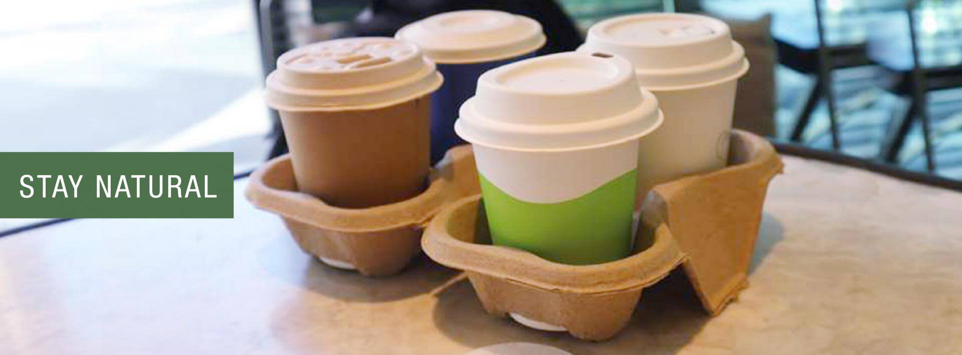 sustainable paper cup holders