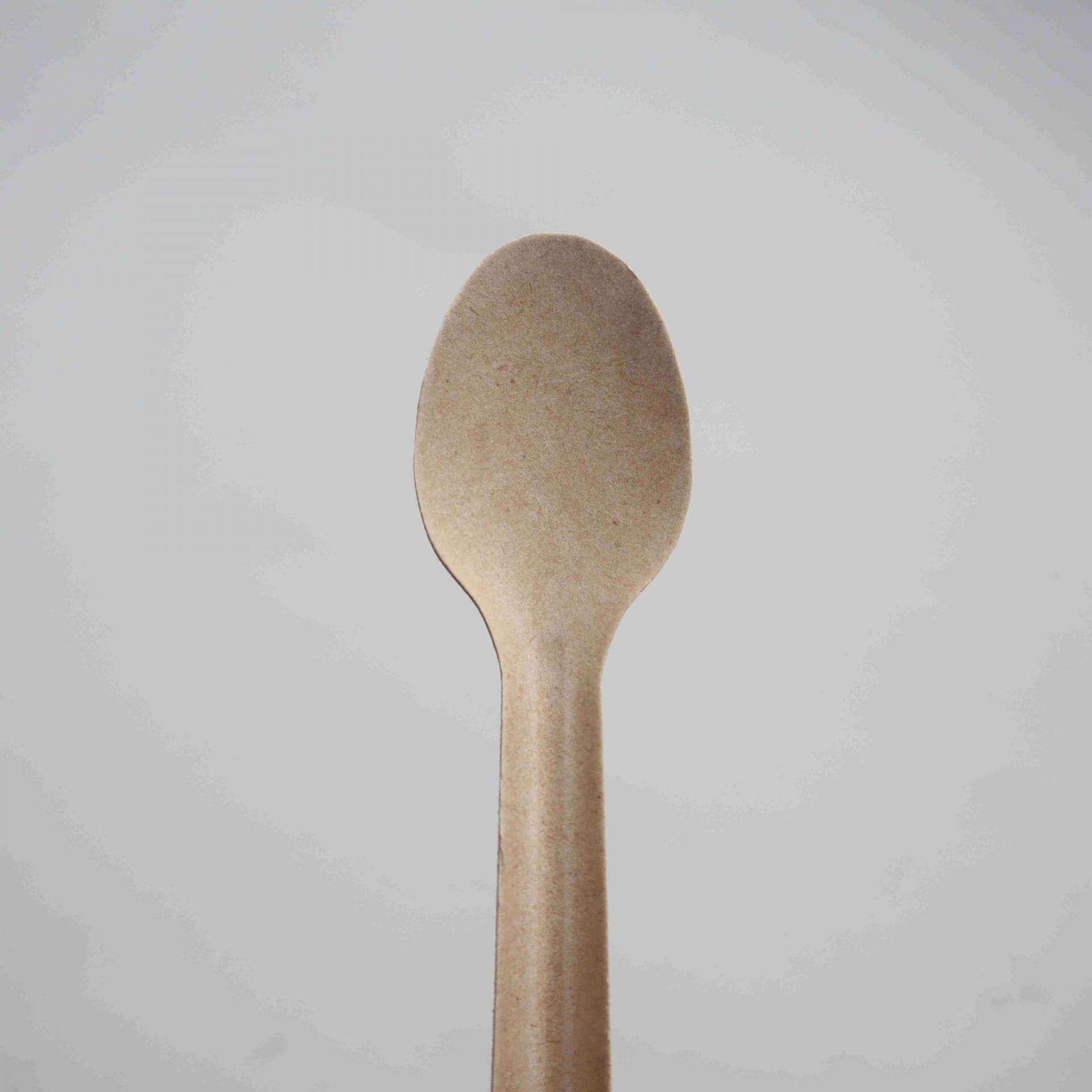 4.6inch Mini sugarcane tasing spoons, biodegradable & compostable