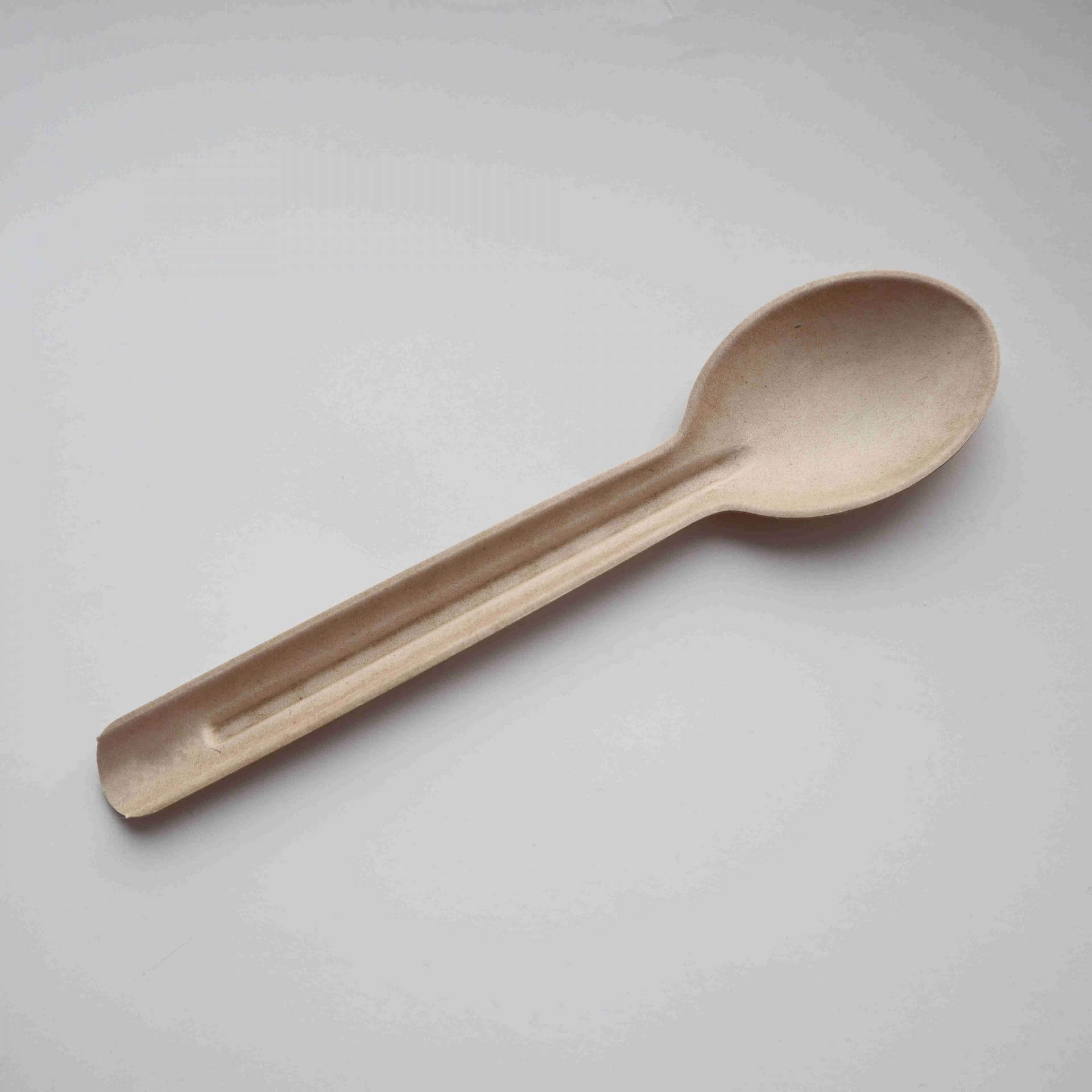 165mm biodegradable spoon for dinner, compostable spoons