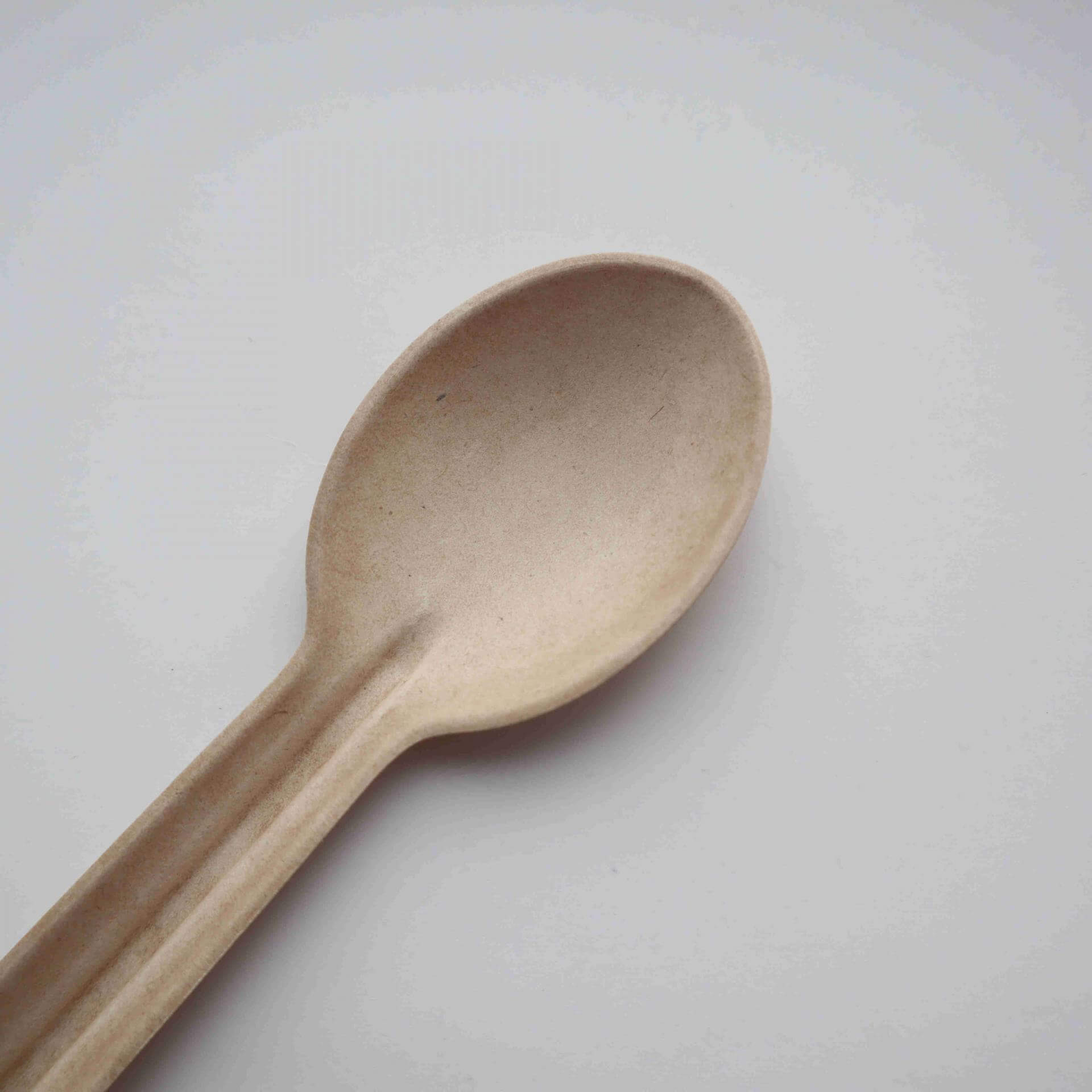 Sugarcane bagasse disposable biodegradable soup spoon compostable 
