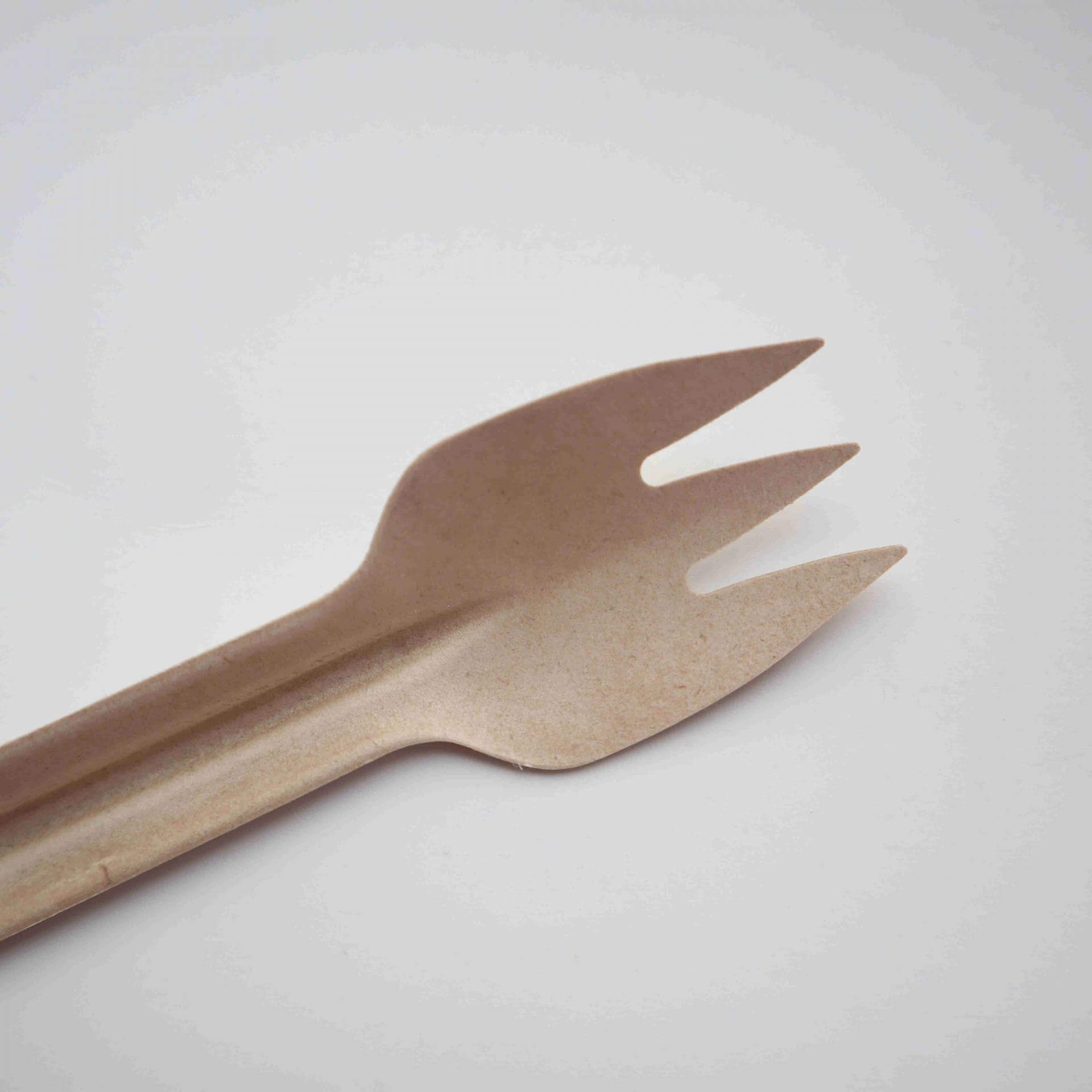 160mm Compostable cutlery, forks from molded pulp packaging manufacturer