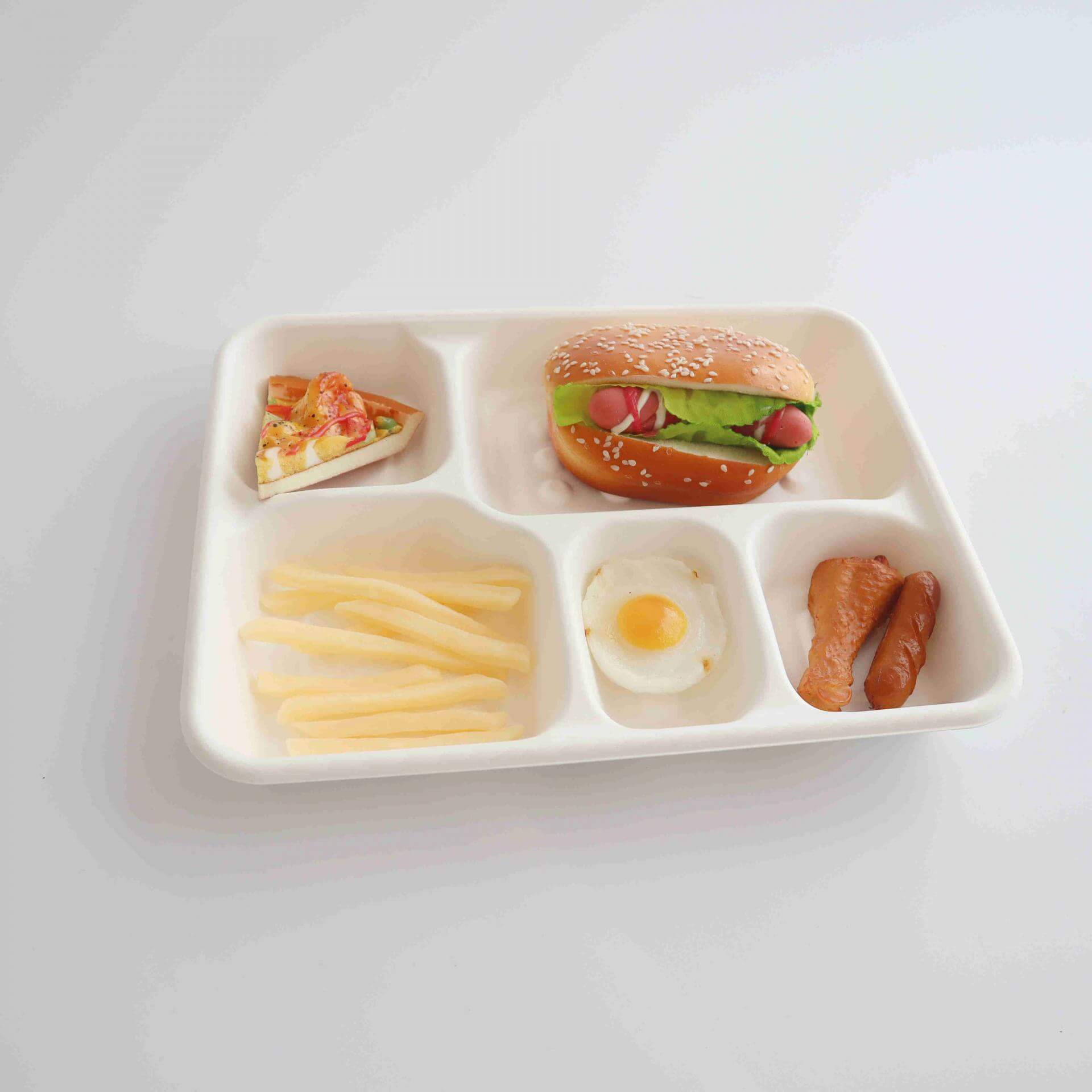 biodegradable lunch trays compartments