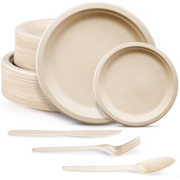 environmentally friendly disposable plates and cutlery	
