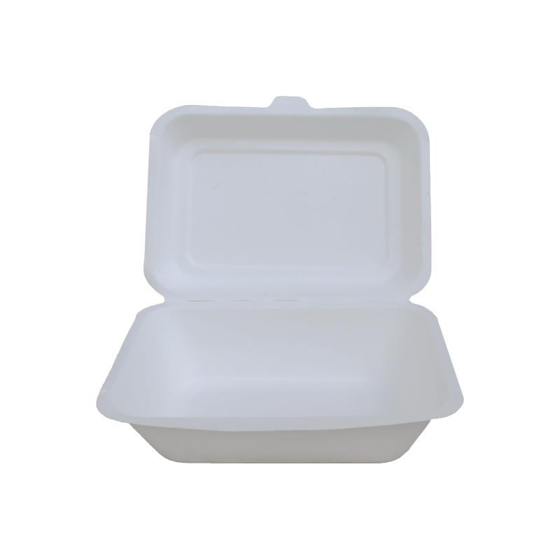 7 x 5 inch Rectangle bagasse clamshell, white