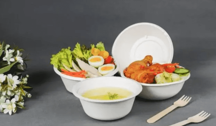 biodegradable bowls and plates replace single-use plastic products