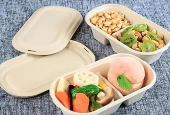 biodegradable bowls and plates replace single-use plastic products
