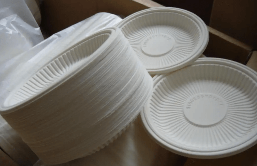 Biodegradable tableware becomes the focus in the market