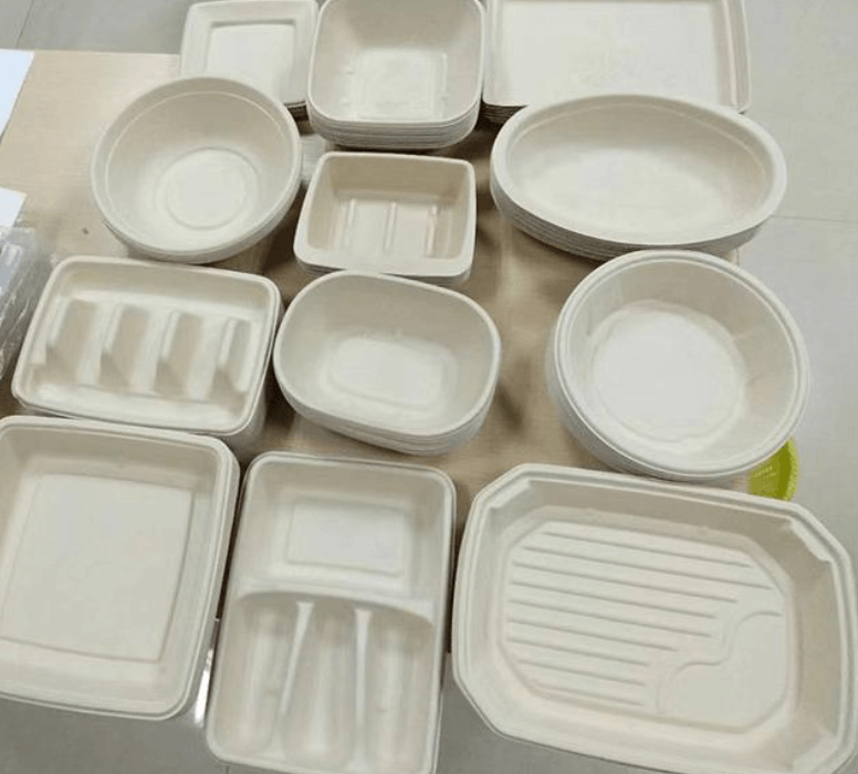 What are biodegradable plates and utensils