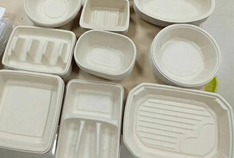 What are biodegradable plates and utensils
