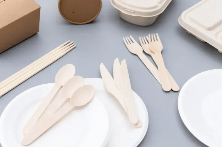 Overview of the Global Biodegradable Bagasse Tableware Industry Report 2022