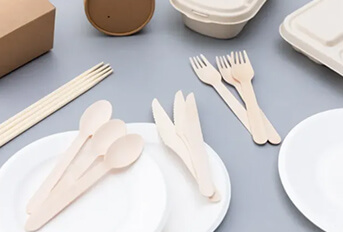 Overview of the Global Biodegradable Bagasse Tableware Industry Report 2022