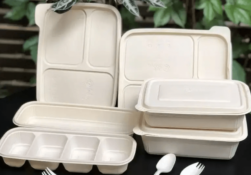 Are biodegradable paper plates harmful to humans?