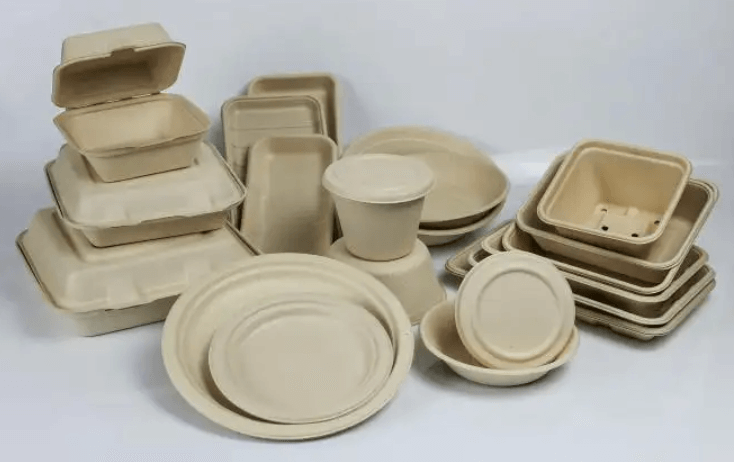 The leader in the development of tableware industry: eco friendly
