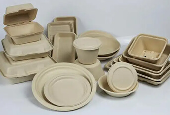 The leader in the development of tableware industry: eco friendly paper plates