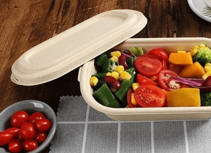 Biodegradable plates and bowls contribute to environmental protection