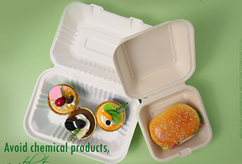 Disposable biodegradable tableware common in the market