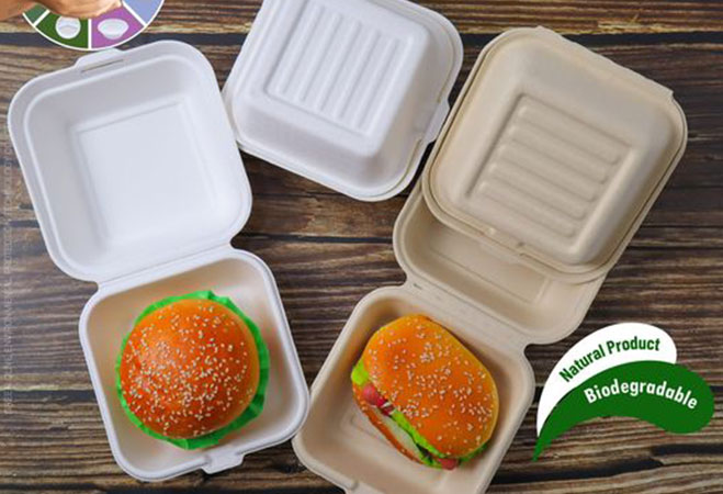 Inventory of popular disposable degradable tableware on the market