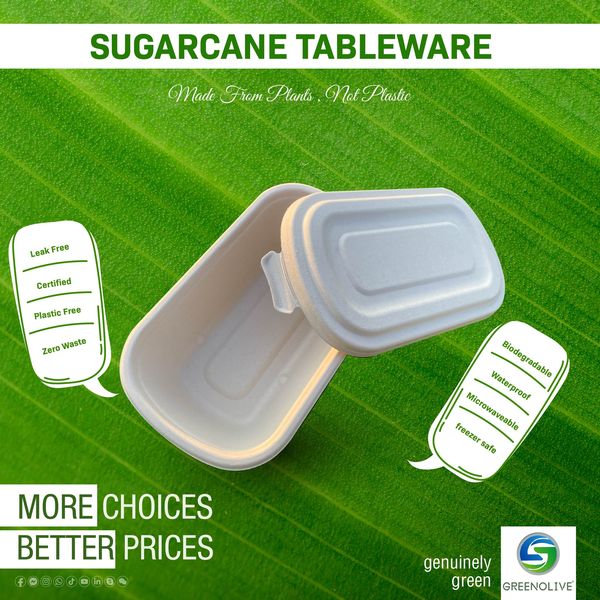 sugarcane tableware