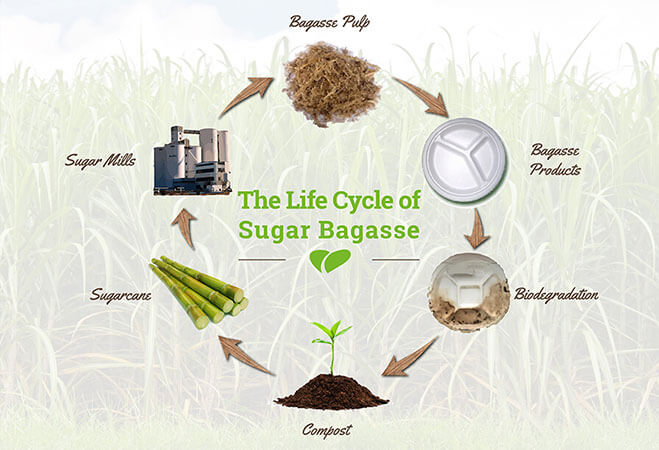 A few common sense of sugarcane pulp degradable tableware