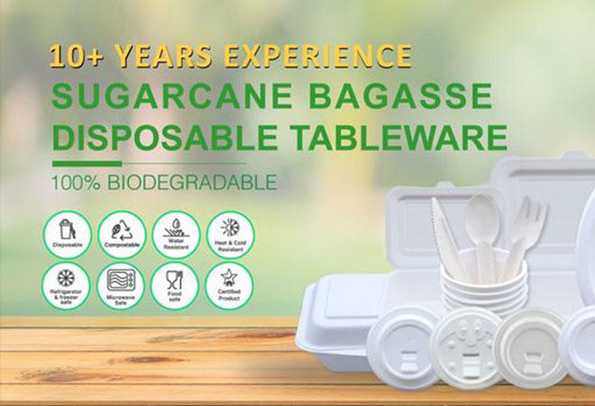 What is the prospect of the environmental protection tableware market?