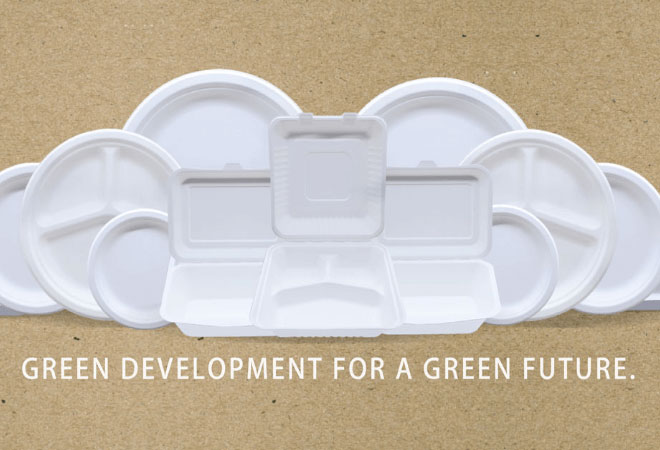 What is the market prospect of bagasse packaging?