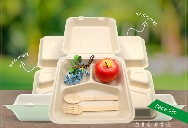 Biodegradable tableware - a new trend of environmentally friendly tableware