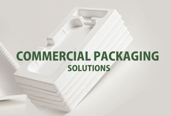 Eco-Friendly Biodegradable Takeout Containers for Businesses